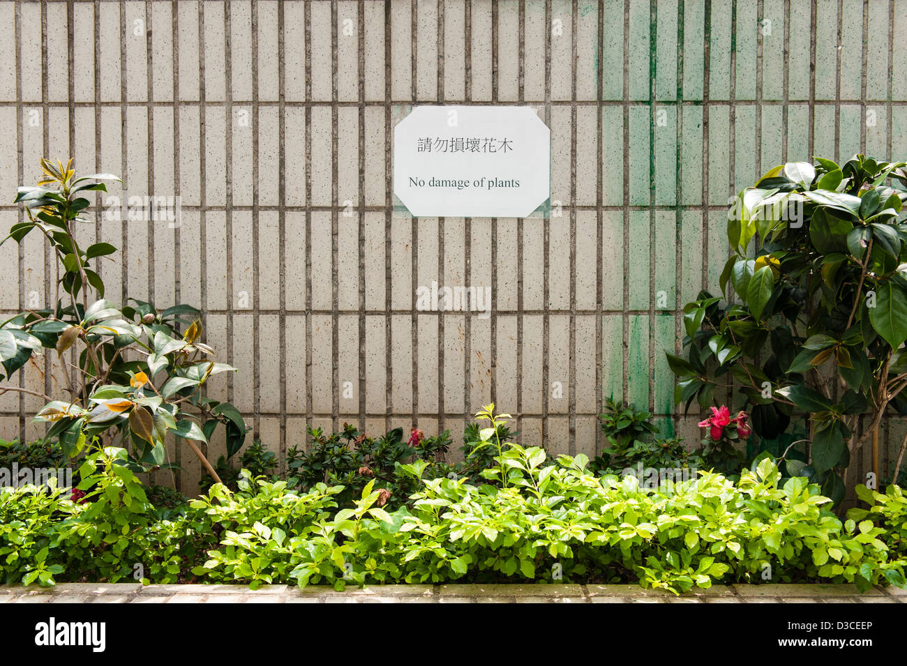 Hong Kong, March 2012 Do not damage the plants sign in an outside sitting area. Photo Kees Metselaar Stock Photo