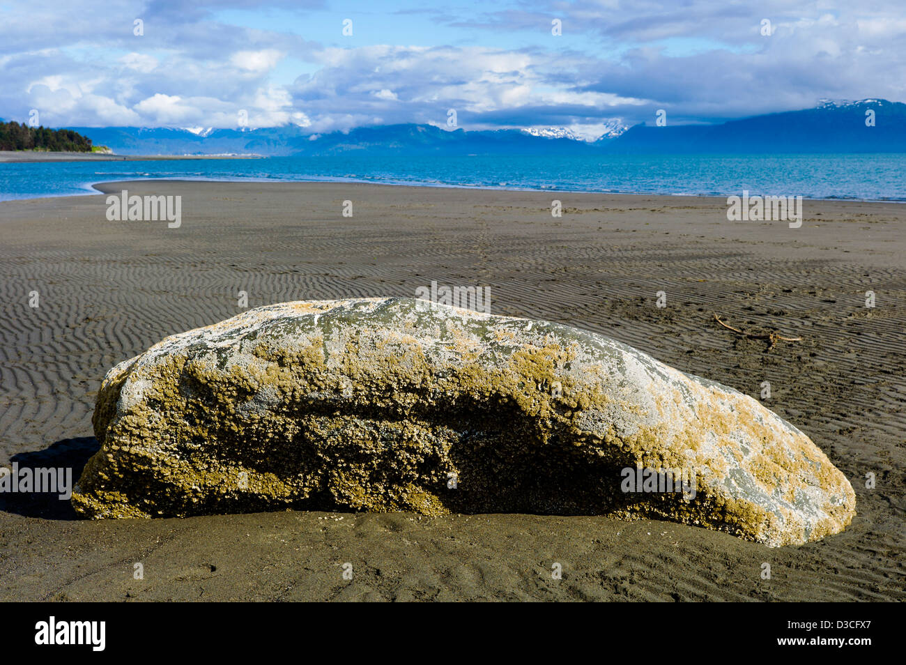 Large lone boulder, Bishop Beach, Homer, Alaska, USA Stock Photo