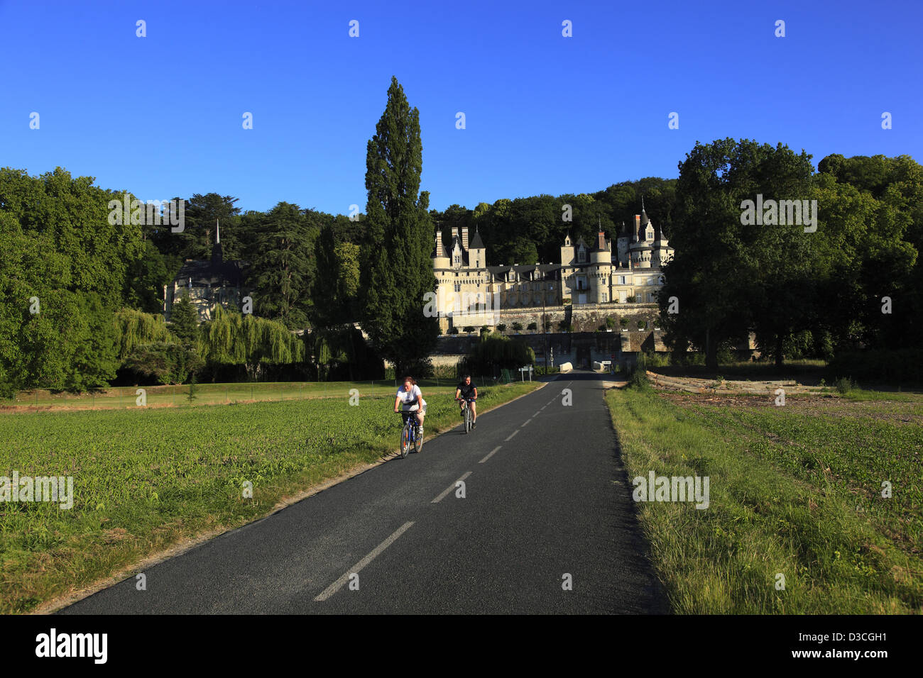 Usse Rigny France, Loire Valley, Indre-et-loire, Rigny-Usse, Chateau De Usse Stock ...