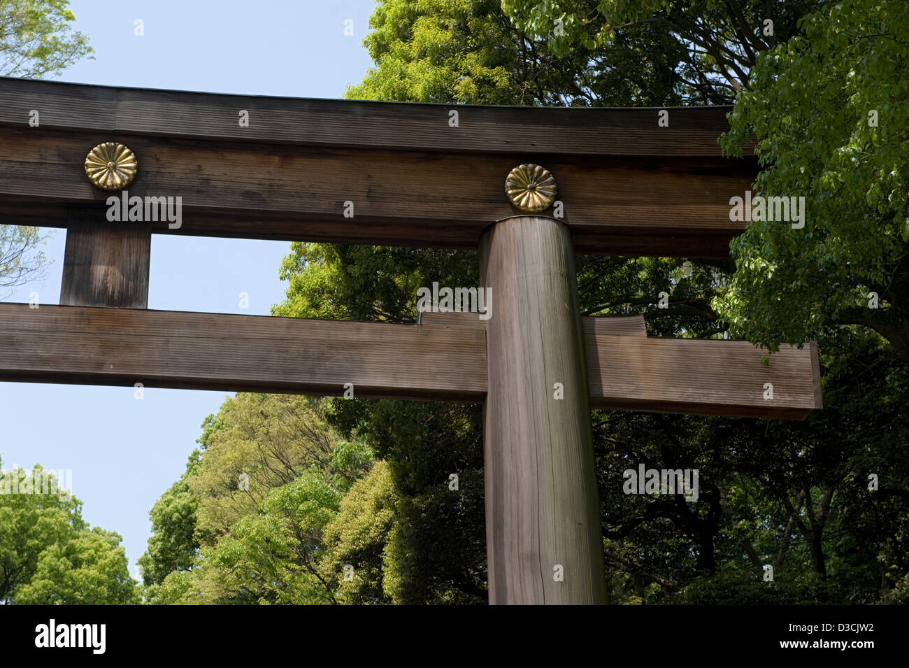 Detail of giant cedar torii gate with Imperial chrysanthemum crests along main entry pathway to Meiji Jingu shrine in Tokyo. Stock Photo