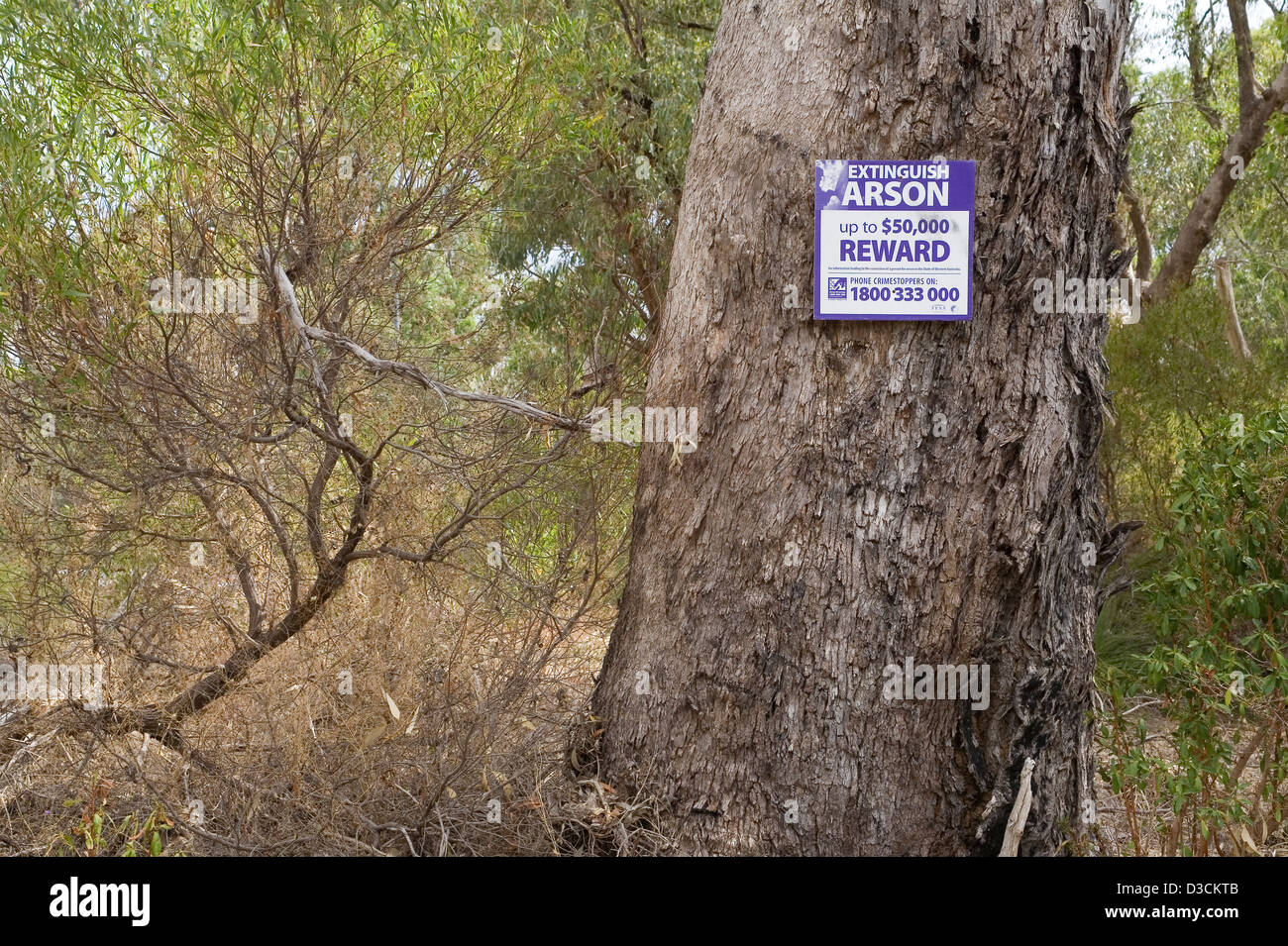 Reward for information about arsonists nailed to a tree in the Australian bush Stock Photo