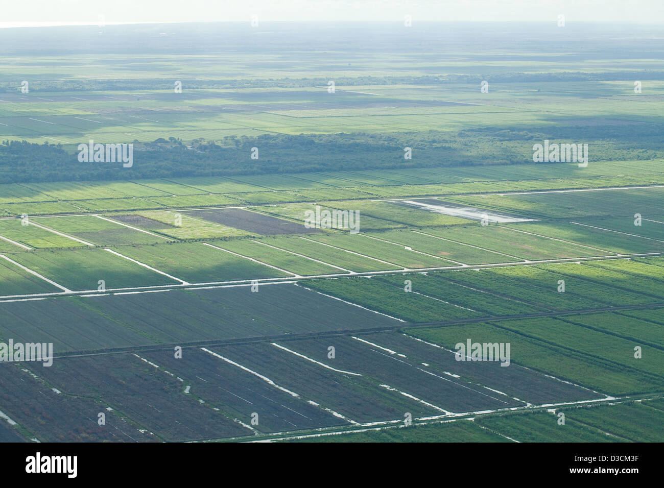 Tropical Wetlands drained for agriculture. Hinterland of Georgetown, capital of Guyana. South America. Aerial photograph. Stock Photo