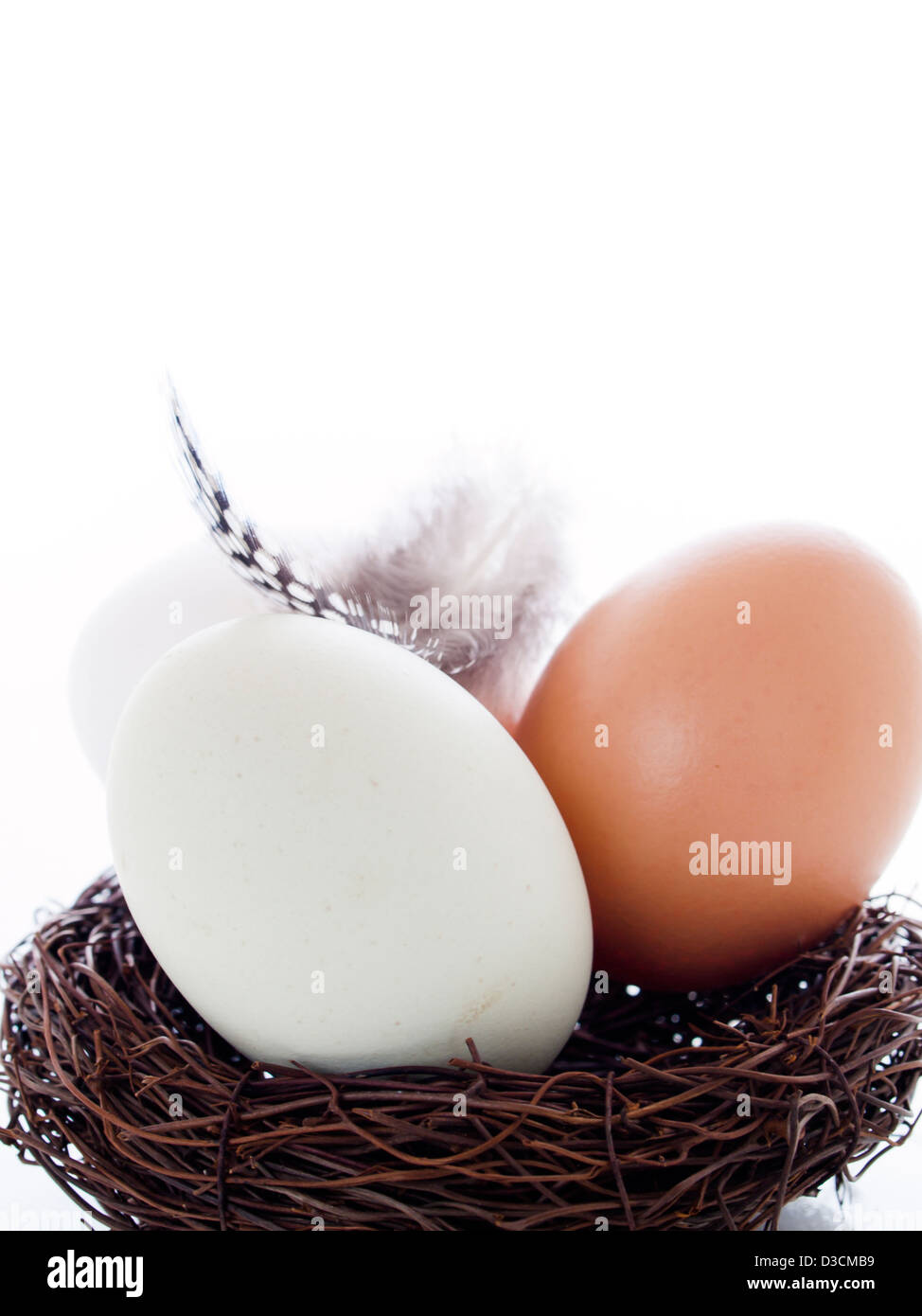 Fresh farm eggs in nest on white background Stock Photo - Alamy