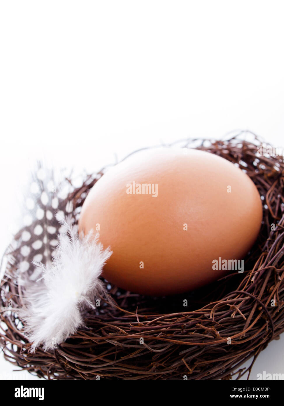 Fresh farm eggs in nest on white background Stock Photo - Alamy