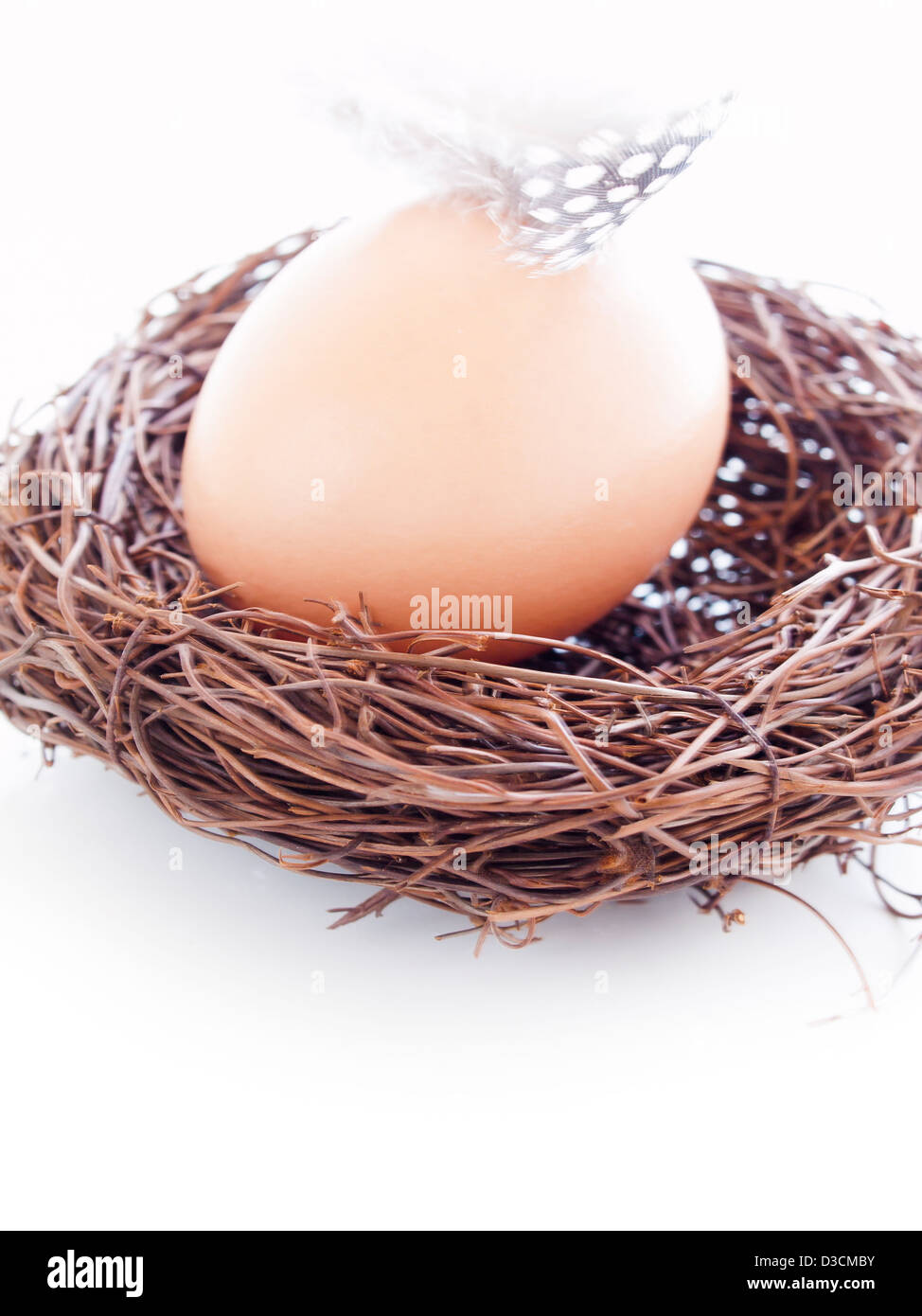 Fresh farm eggs in nest on white background Stock Photo - Alamy