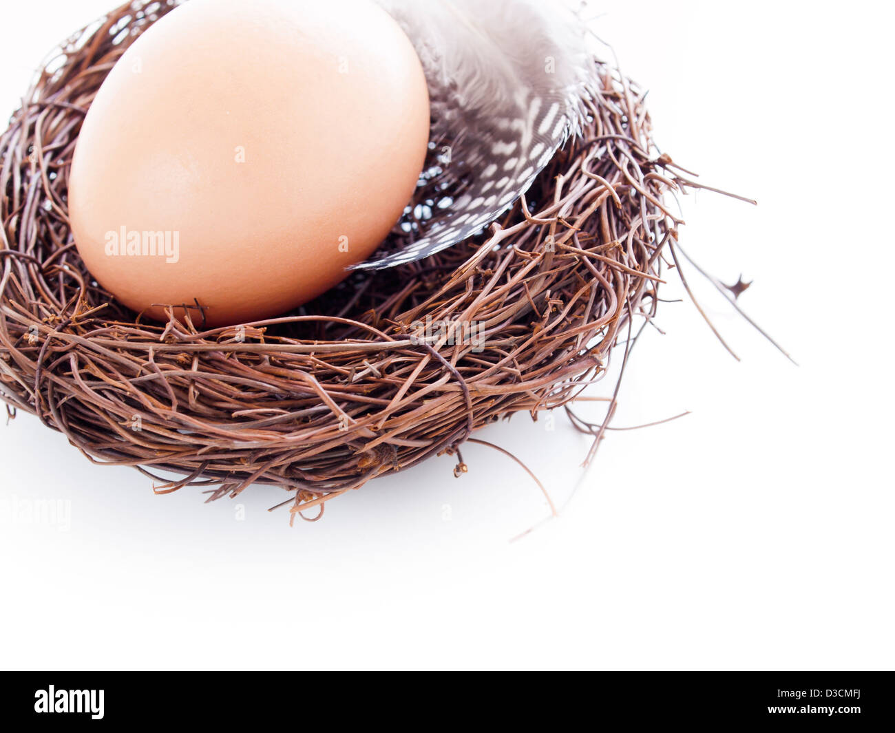 Fresh farm eggs in nest on white background Stock Photo - Alamy