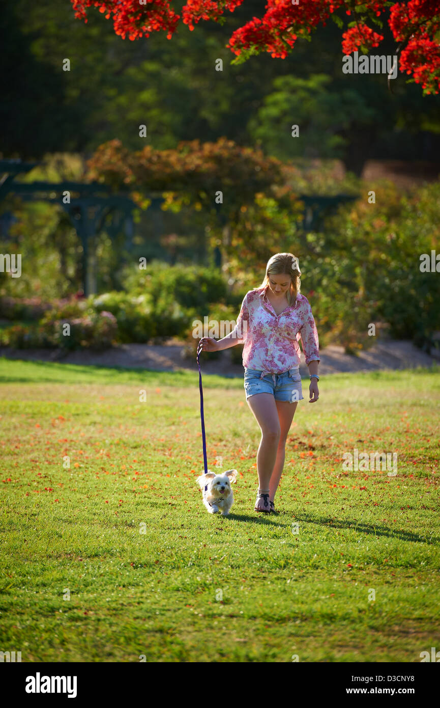 Young woman walking her dog in the park Stock Photo
