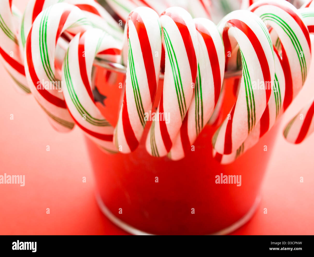 Gourmet red, white and green peppermint candy canes on red background