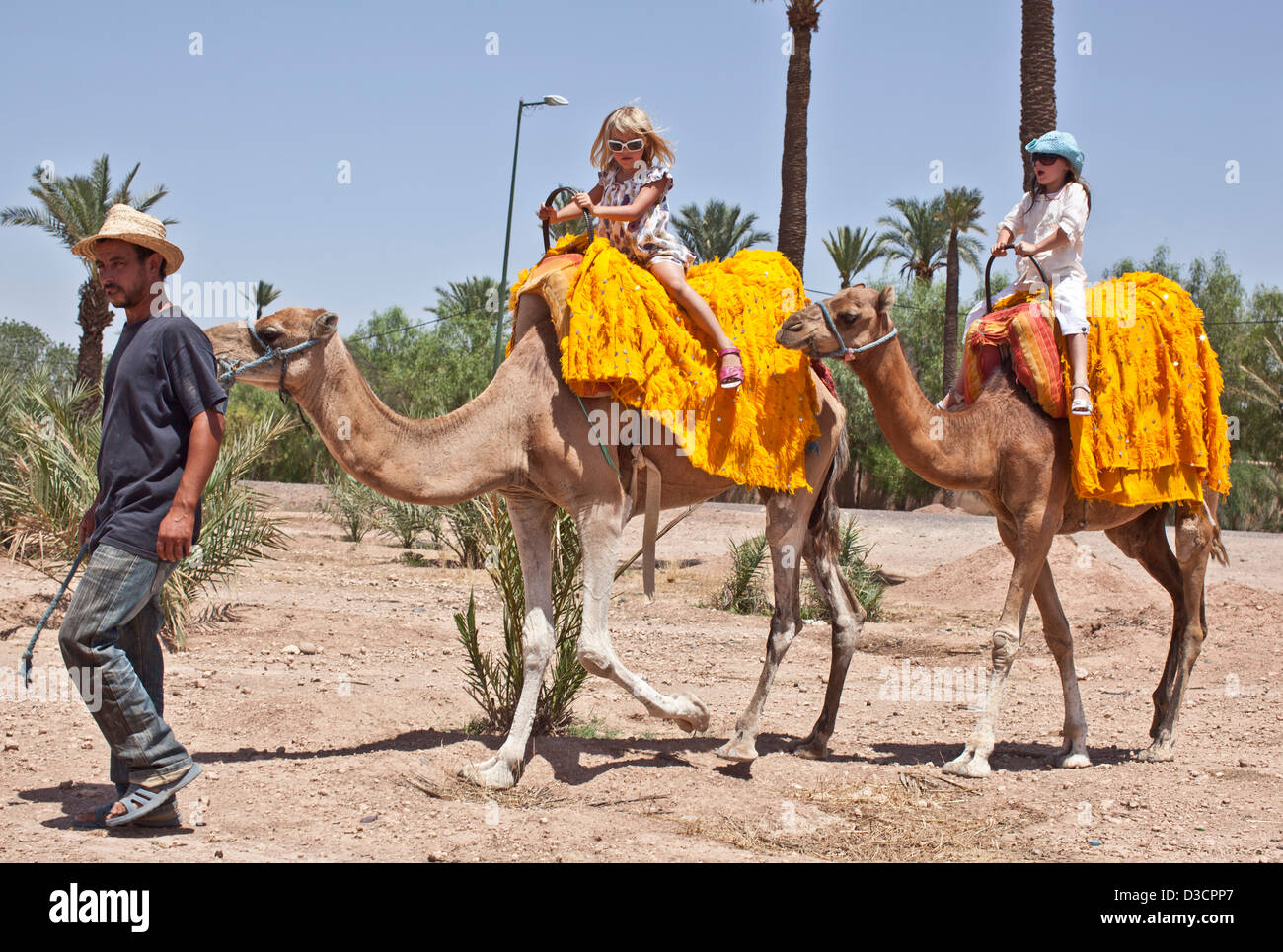 Girls riding camels, Marrakech, Morocco Stock Photo