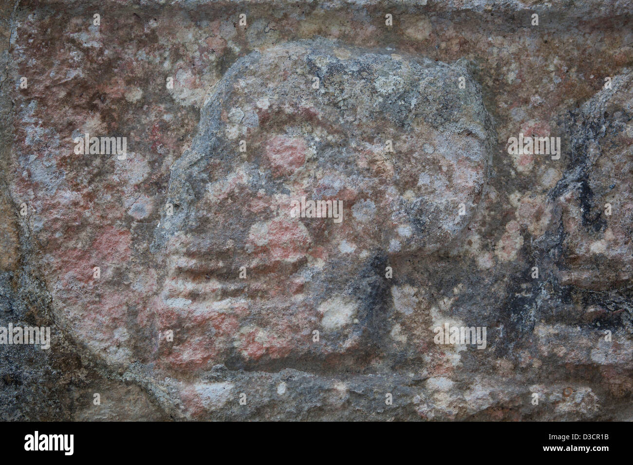 Detail of a skull on the Tzompantli 'wall of skulls' at Chichen Itza, Mexico Stock Photo