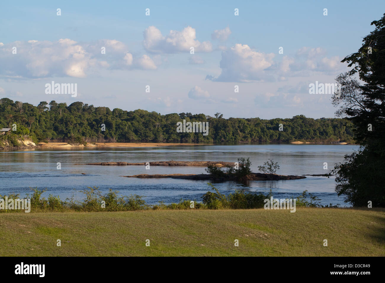 Essequibo River from Iwokrama River Lodge. Guyana. Stock Photo