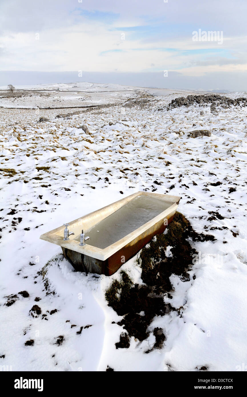 Disused cast iron bath full of frozen water and being used as a drinking trough for sheep on the moors above Malham cove. Stock Photo