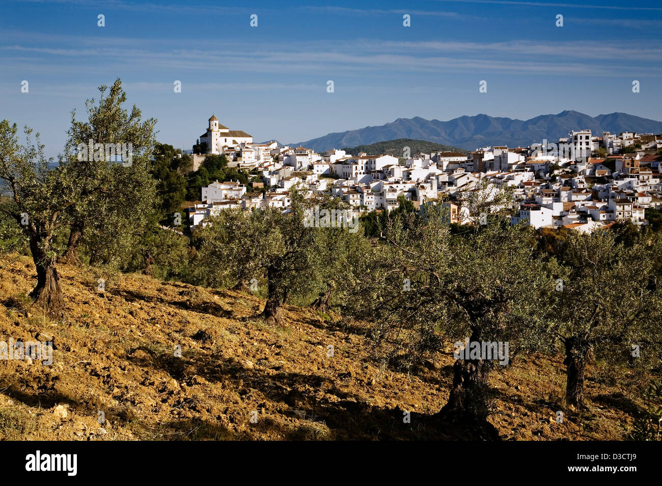 Alozaina village Serrania de Ronda Malaga Andalusia Spain Stock Photo