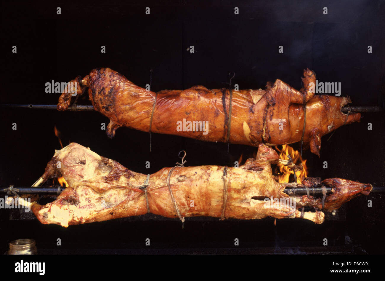 Slow-roasting pigs on a rotisserie cooking in a restaurant at the Adriatic coast Croatia Stock Photo