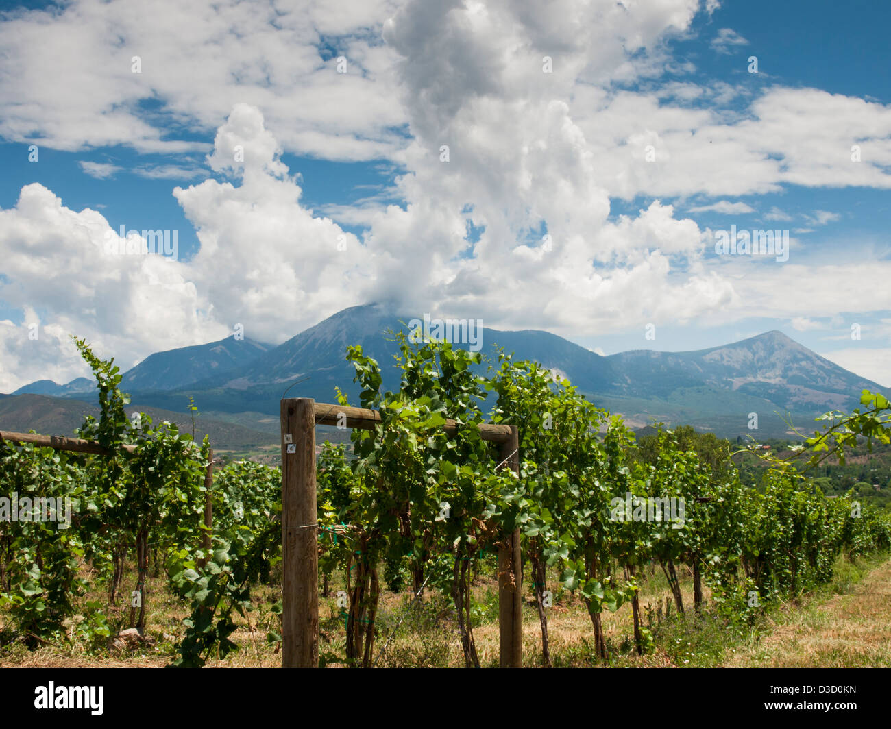 Local winery in Grand Junction, Colorado Stock Photo Alamy