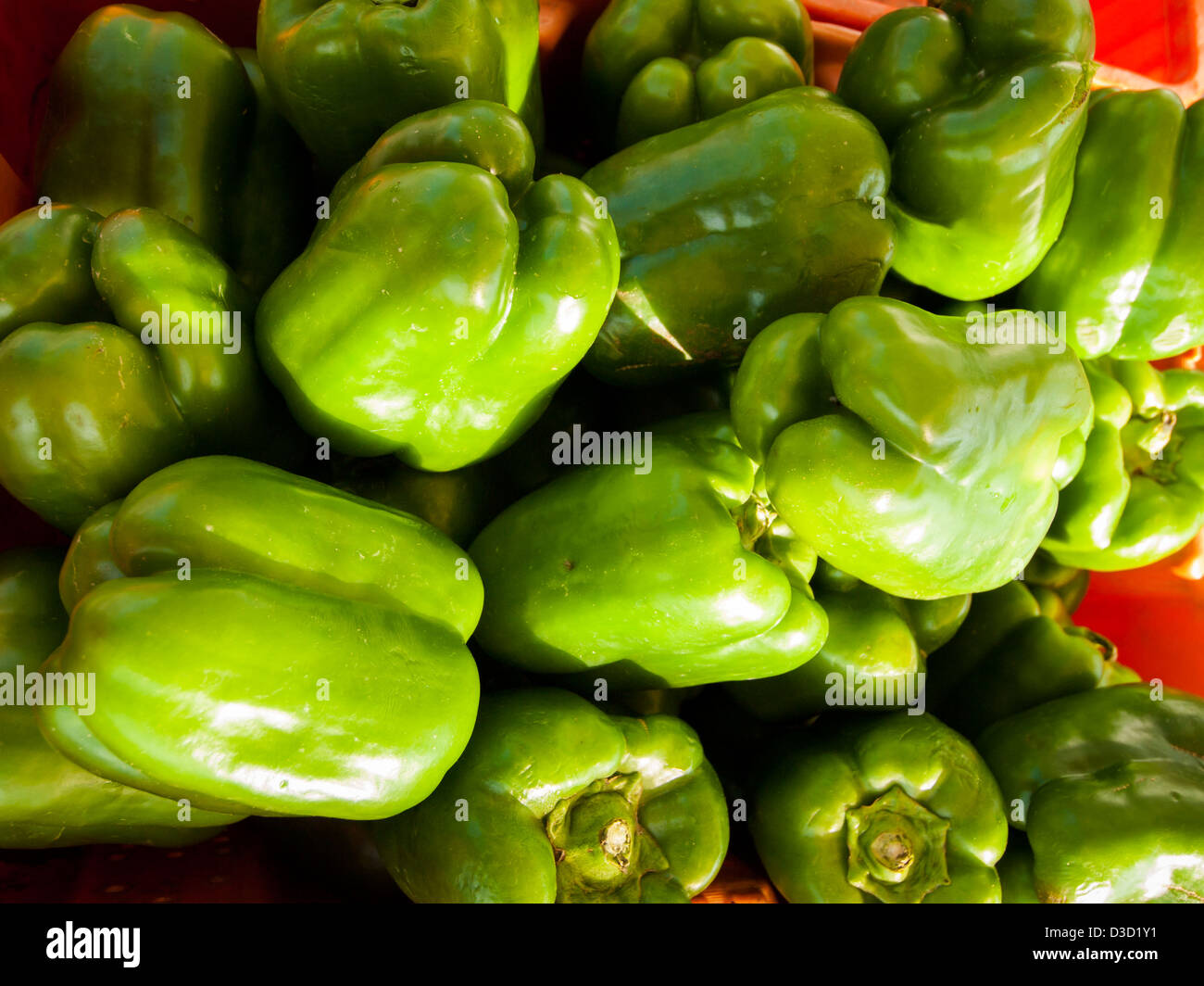 Green bell peppers at the local farmer's market Stock Photo - Alamy