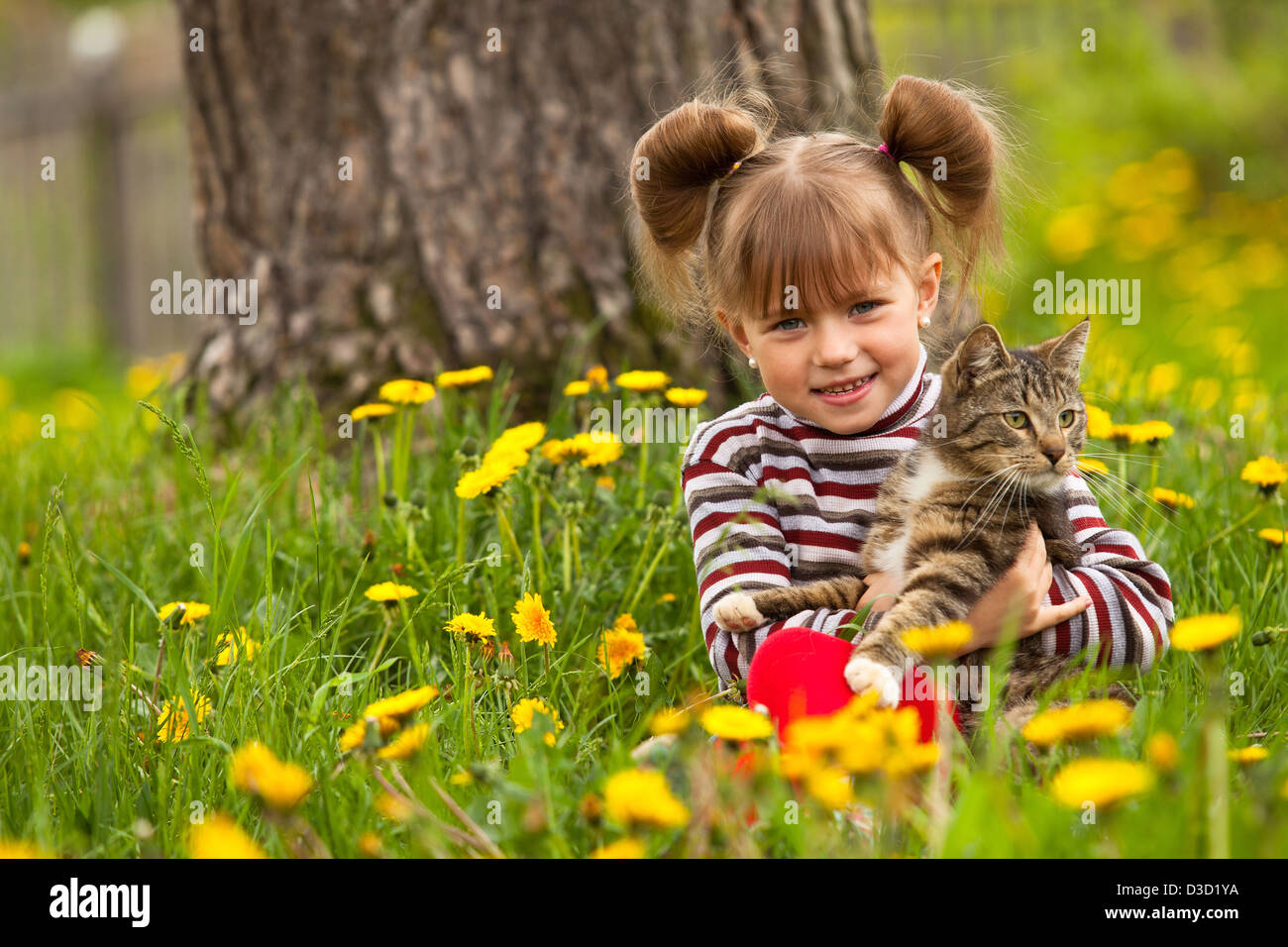 Funny lovely little girl playing with a cat in the park Stock Photo - Alamy