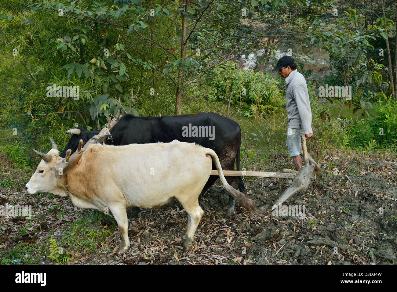 Traditional Wooden Plough High Resolution Stock Photography and Images
