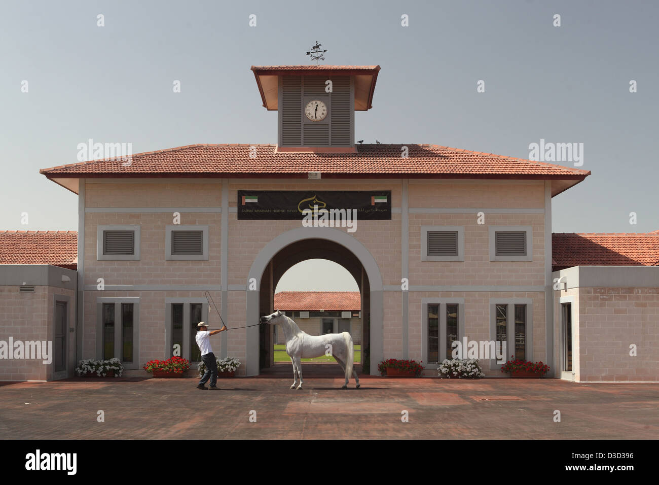 Dubai, United Arab Emirates, Dubai Arabian Horse Stud Portal Stock