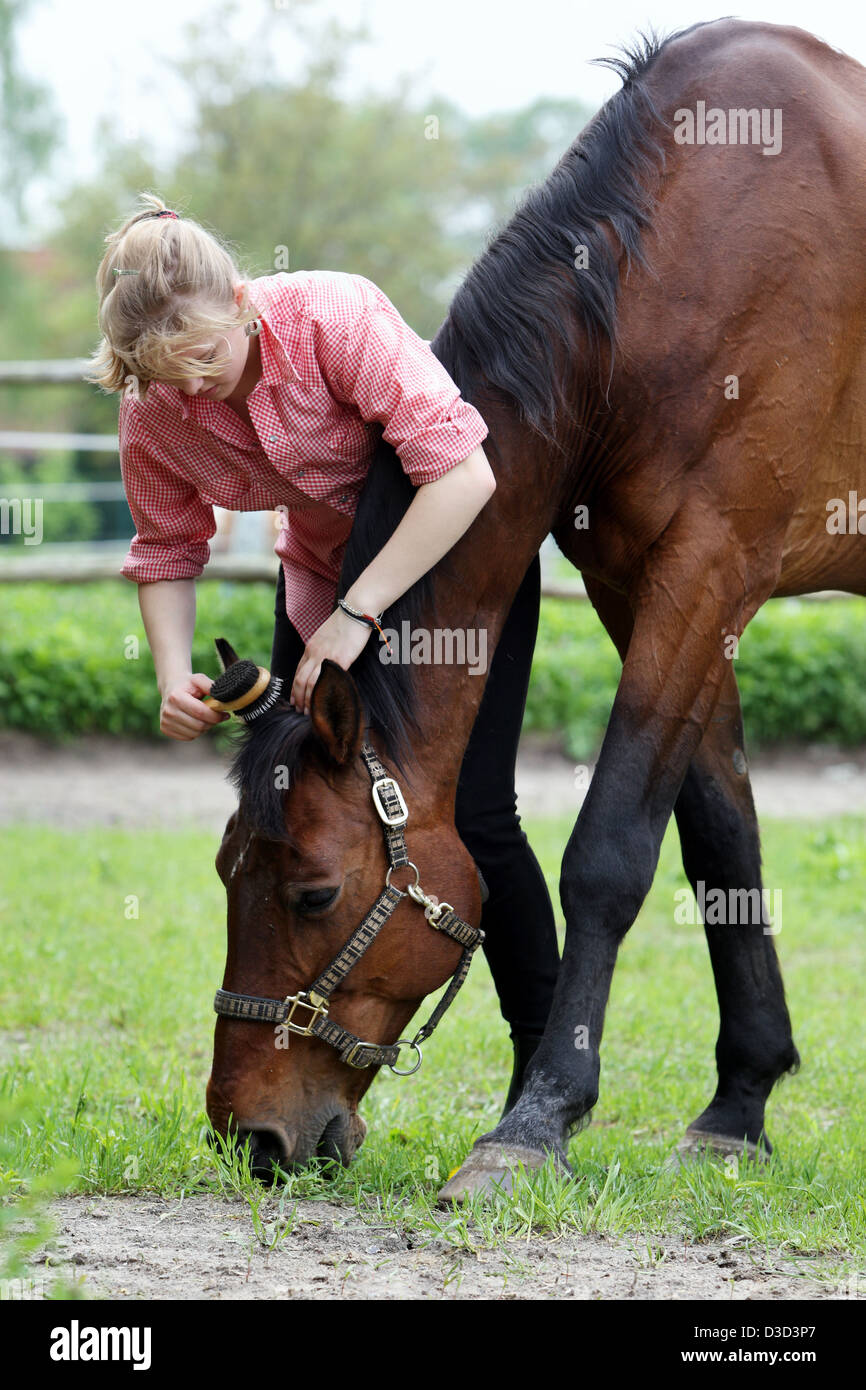 Muehlenbeck, Germany, girl brushing her horse mane Stock Photo