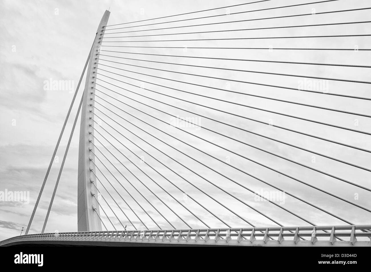 The City of Arts and Sciences Valencian: Ciutat de les Arts i les Ciències,Ciudad de las Artes y las Ciencias Valencia Stock Photo