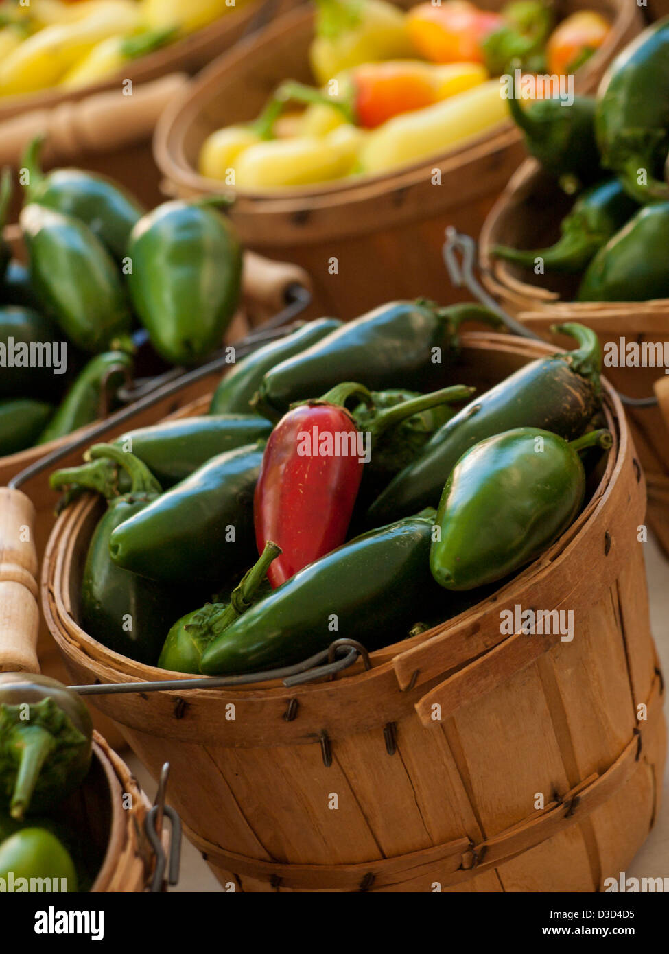 Fresh peppers at the local farmer's market Stock Photo - Alamy