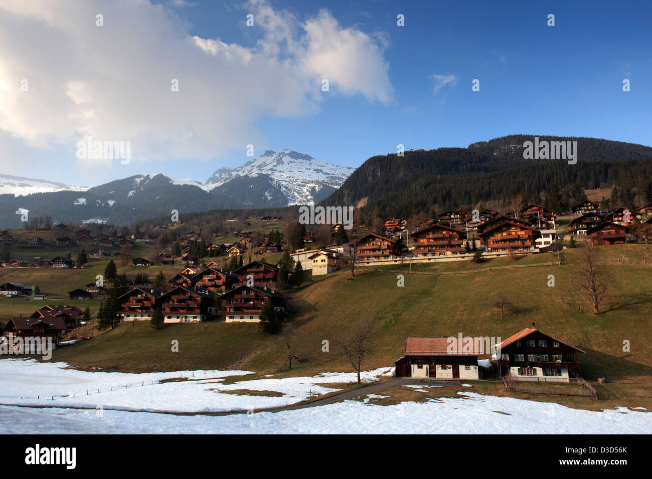 Swiss Chalets in the ski resort of Grindelwald, Swiss Alps, Jungfrau