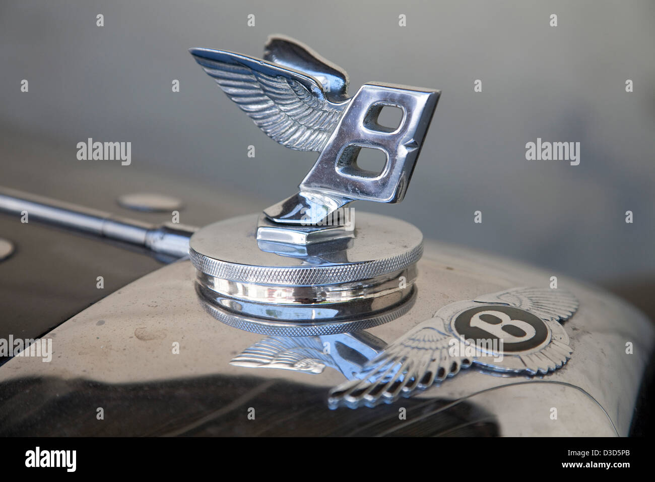 Bentley flying b deals
