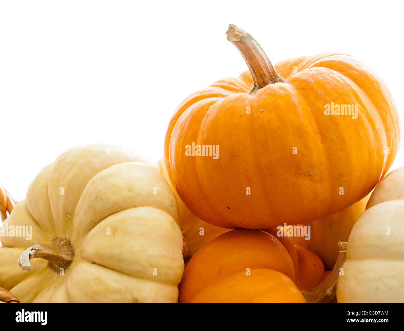 Pump ke mon pumpkin hi-res stock photography and images - Alamy
