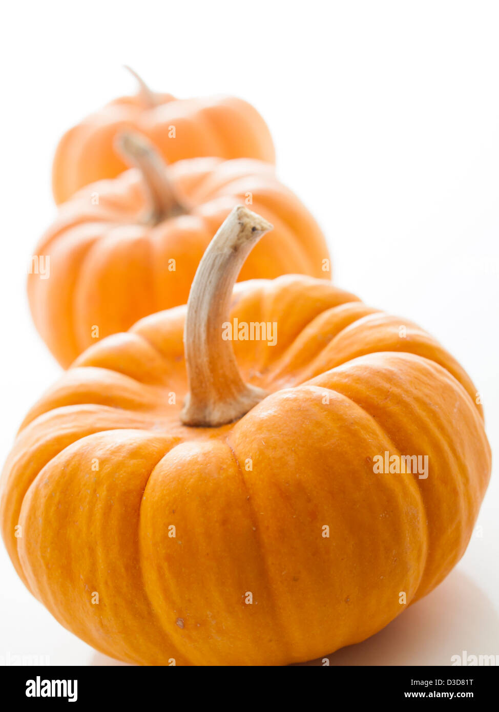 Small orange pumpkins on white background Stock Photo - Alamy
