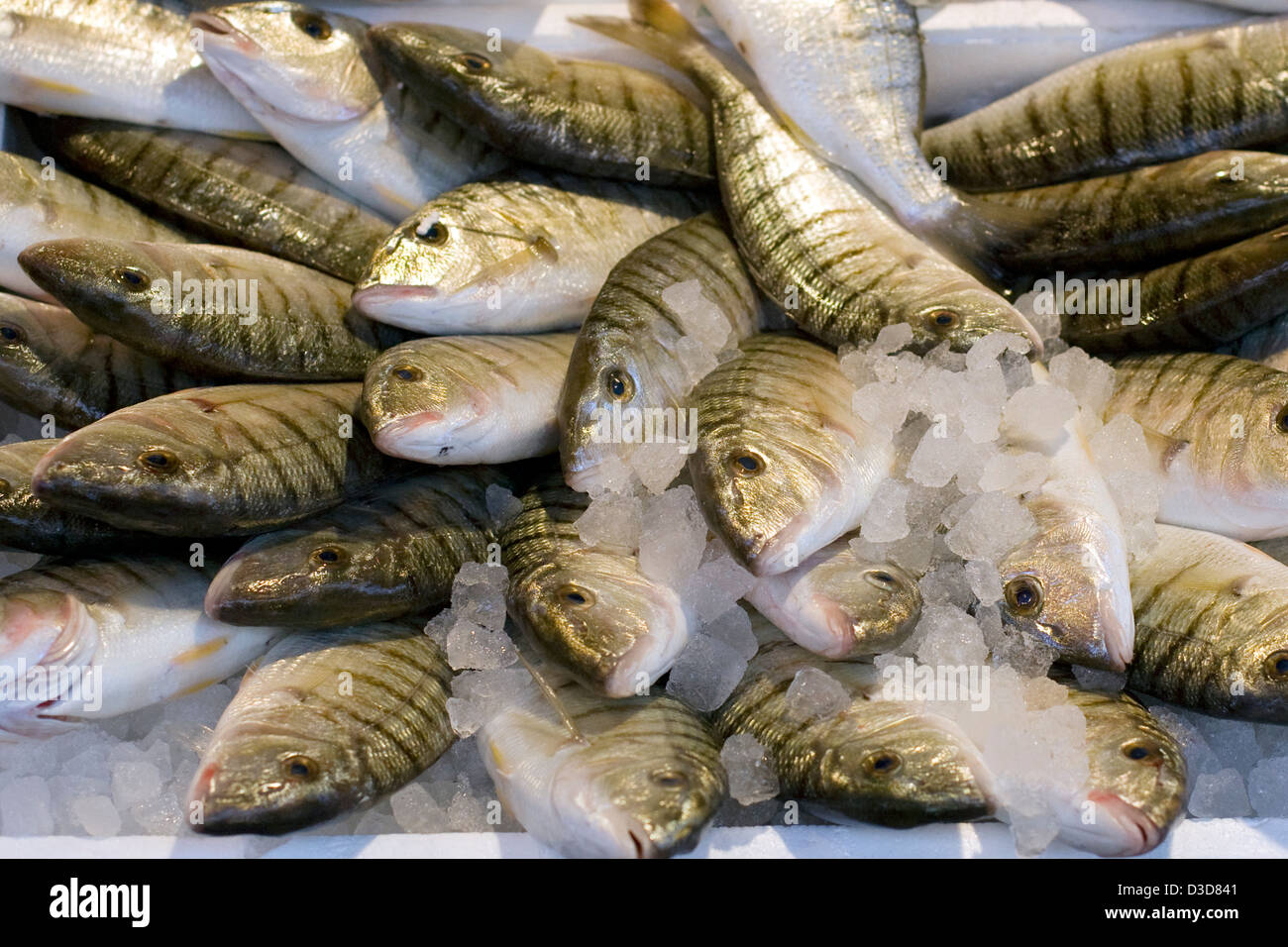 Fresh Raw Silver tiger Fish on ice at a market in Venice Stock Photo