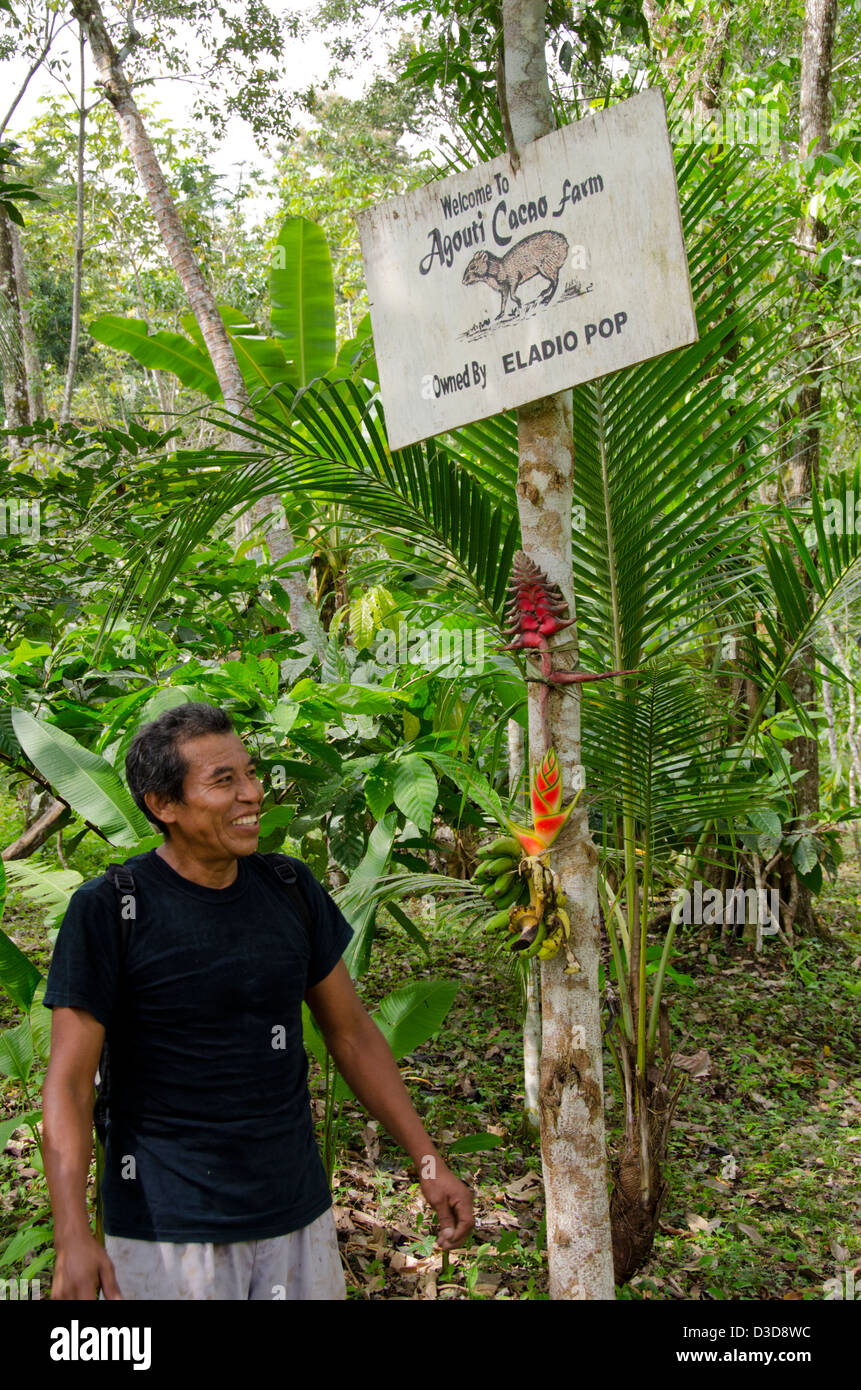 Belize, Punta Gorda, Agouti Cacao Farm. Plantation owner, Elandio Pop Stock Photo Alamy