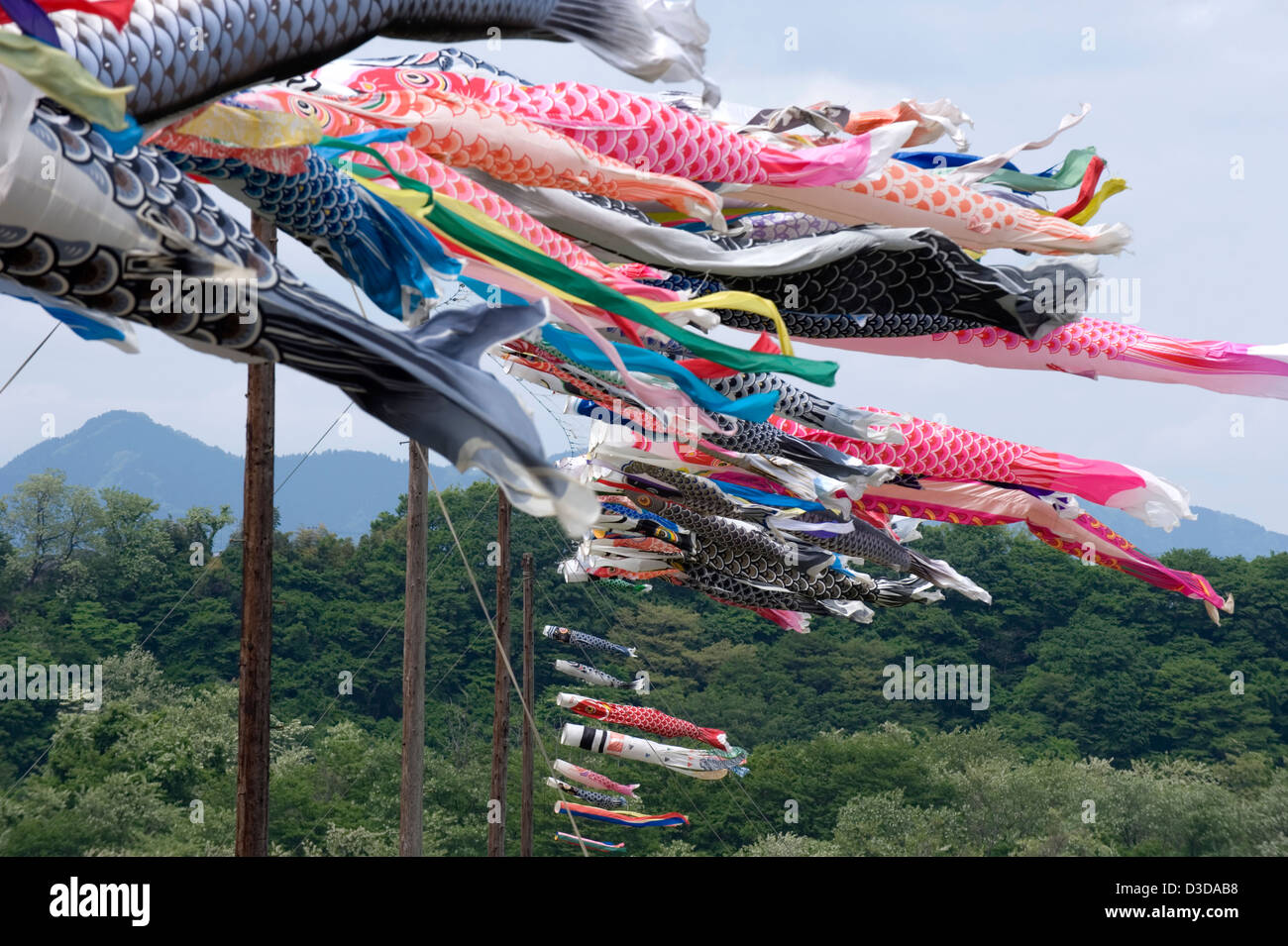 Japan fish kite hires stock photography and images Alamy
