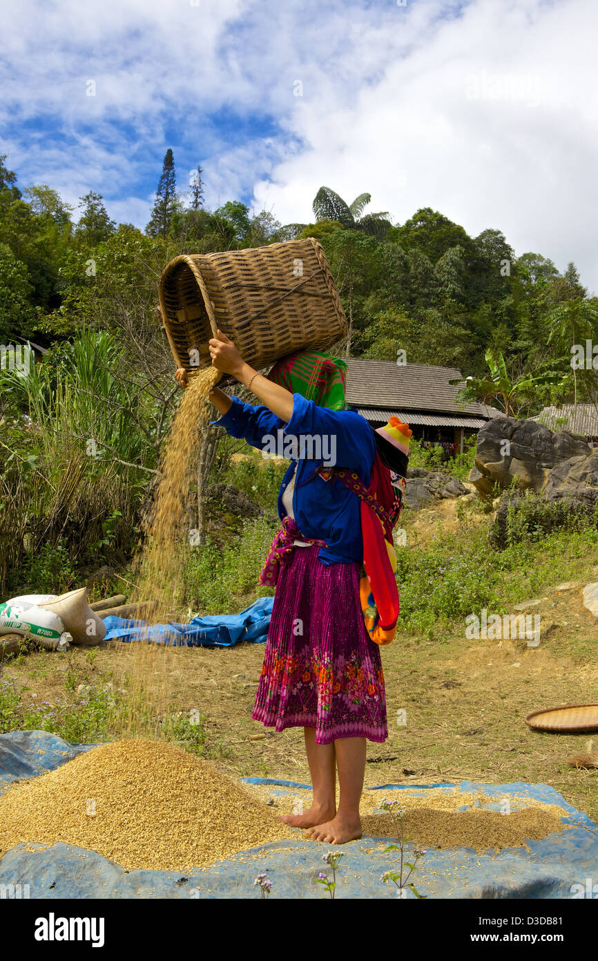 Vietnam, Lao Cai province. Flower Hmong minority Stock Photo