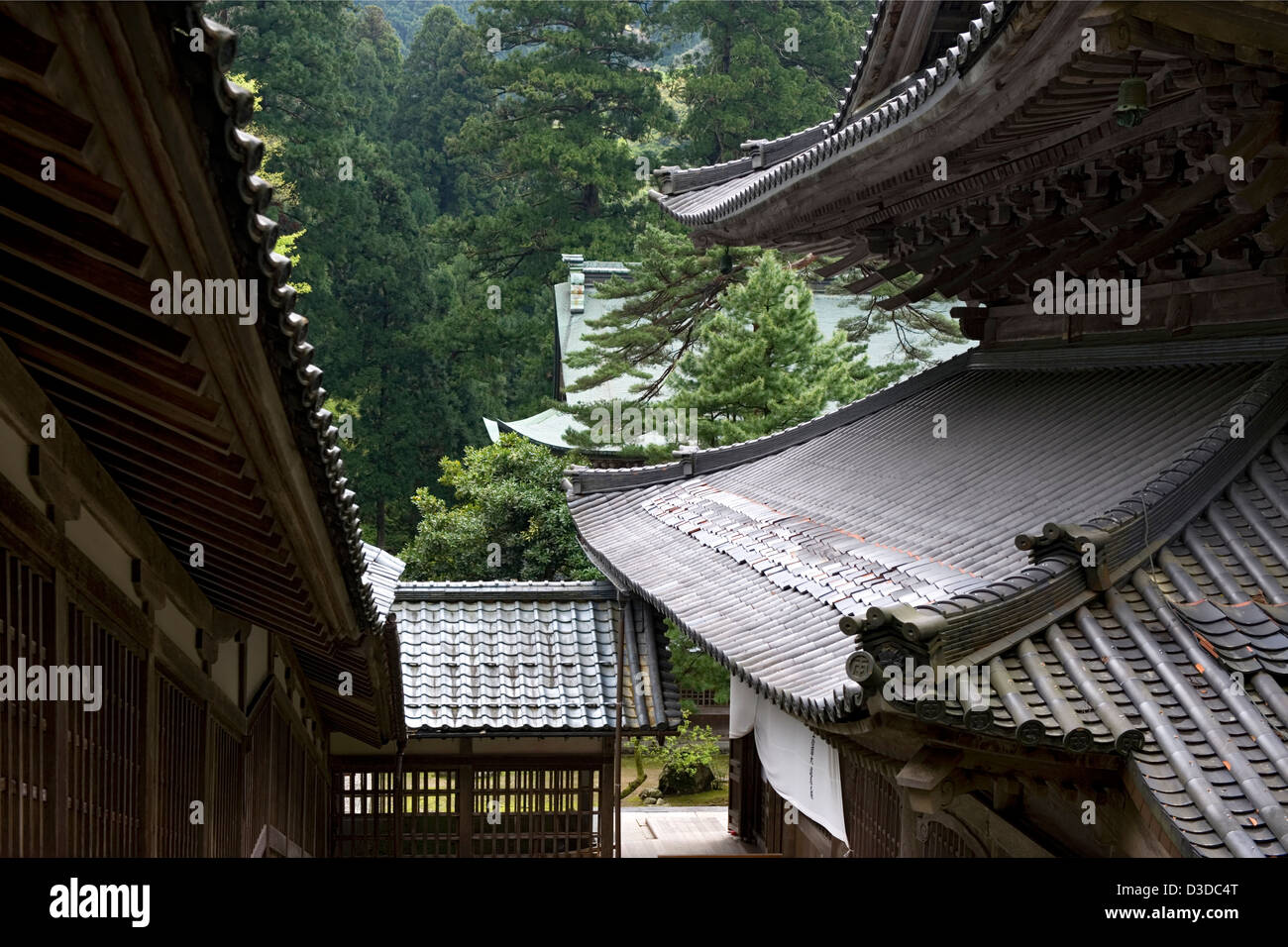 Historic hillside buildings and rooftops of Soto sect Eiheiji Zen Buddhist temple in the green pine tree forest of Fukui, Japan. Stock Photo