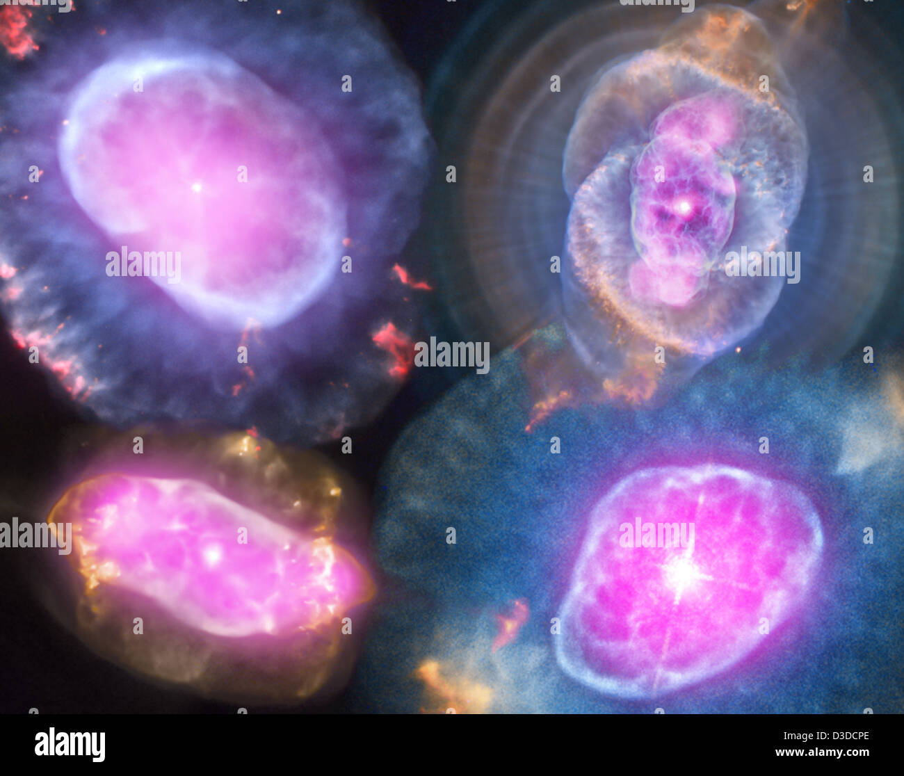 A Planetary Nebula Gallery (NASA, Chandra, 10/10/12) Stock Photo