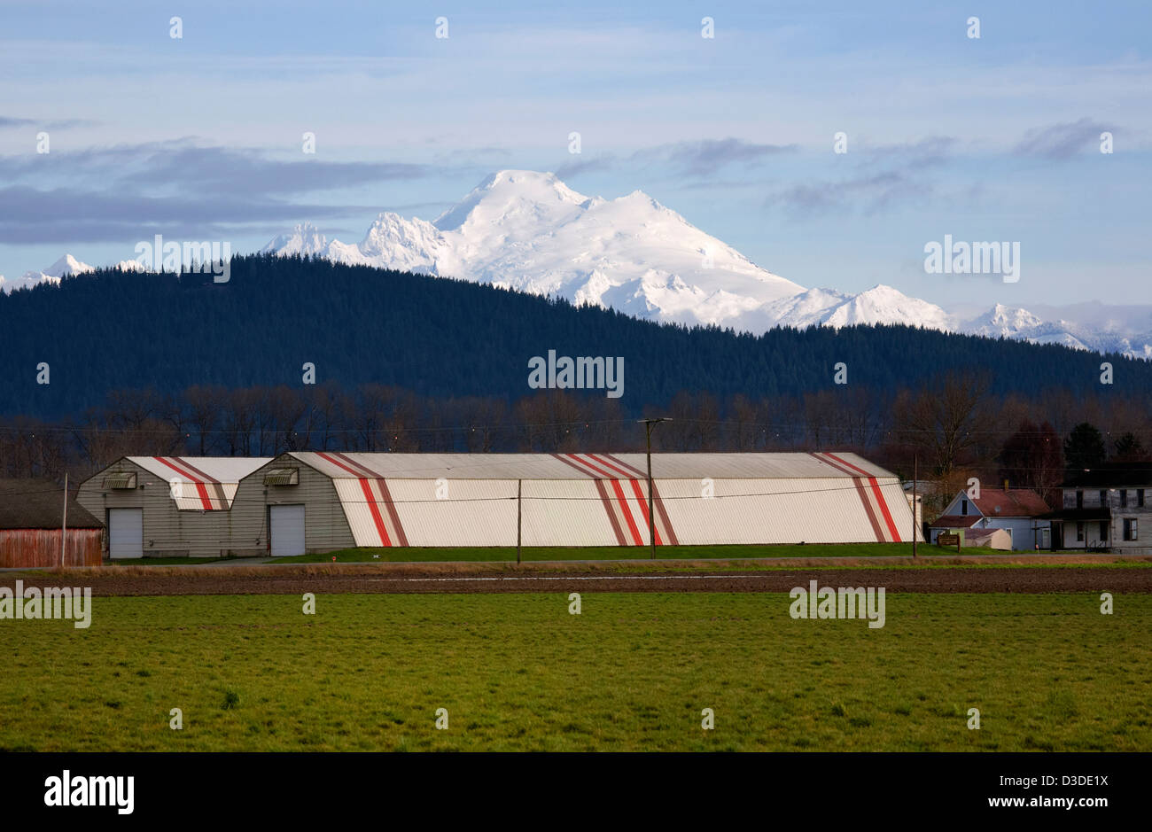 WA08086-00...WASHINGTON - Storage sheds for the farms on Fir Island in the Skagit River Delta with Mount Baker in the distance. Stock Photo