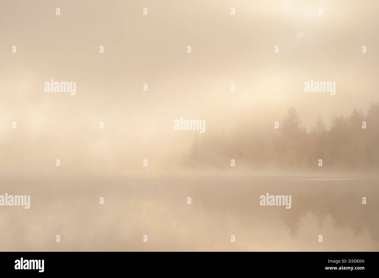 Trees shrouded in mist hi-res stock photography and images - Alamy