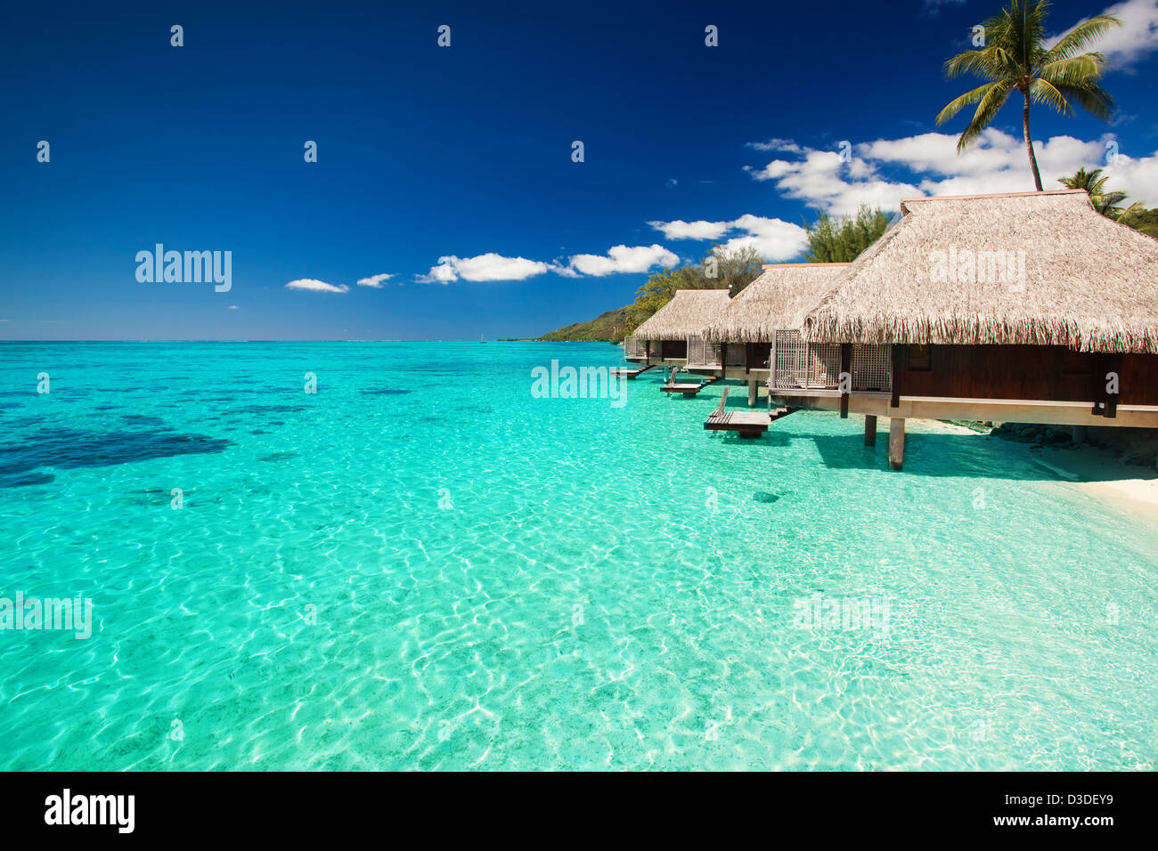 Villas on the green tropical beach with steps into water Stock Photo