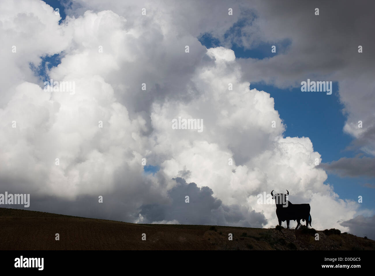 JEREZ-SEVILLE MOTORWAY, SPAIN, 19TH FEBRUARY 2008: A huge silhouetted image of a bull stands on a hillside overooking the Jerez-Seville motorway.  The black bull, a trademark of sherry producer Osborne, was part of a national advertising campaign.   When Spain outlawed billboards on national roads in the 1990's these black bulls had become a national symbol and were retained (without words) by popular demand. Stock Photo