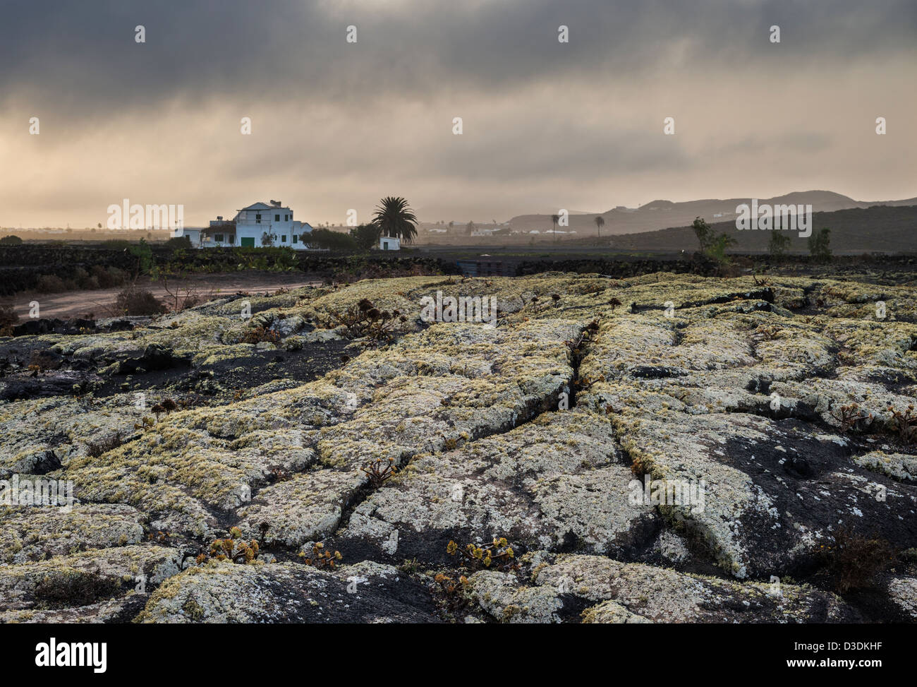 Misty early morning on the lichen-covered pahoehoe or ropy lava near Masdache, Lanzarote, Canary Islands, Spain Stock Photo