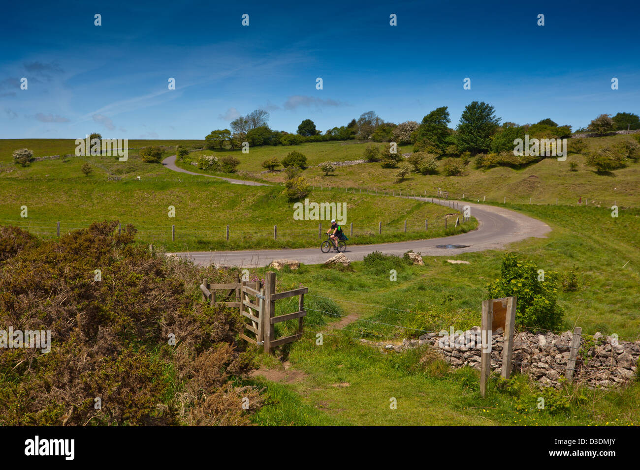 A cyclist on the Mendip Hills passing the entrance to Ubley Warren Nature Reserve, Somerset, England, UK Stock Photo