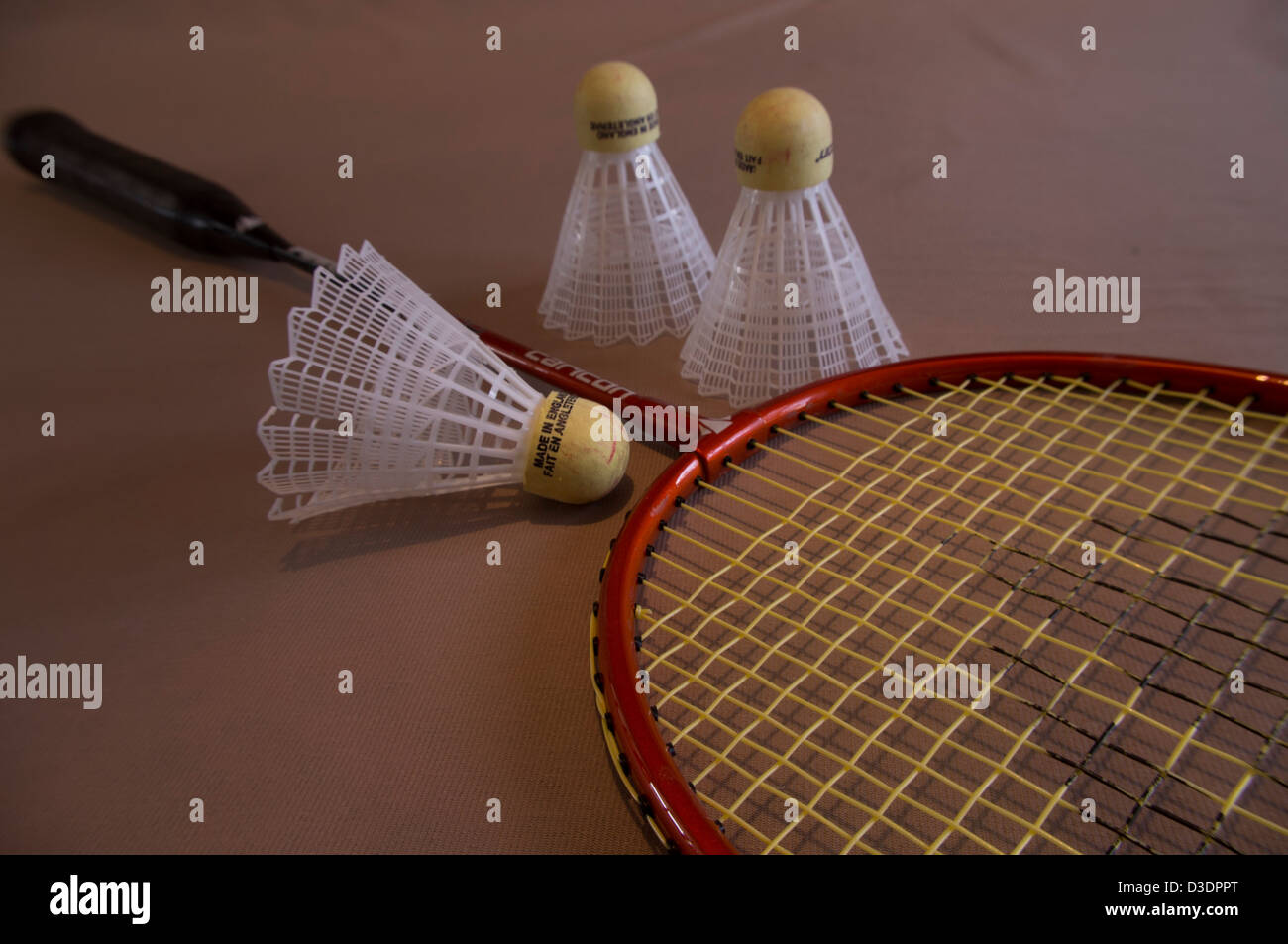 badminton racket and shuttlecocks Stock Photo