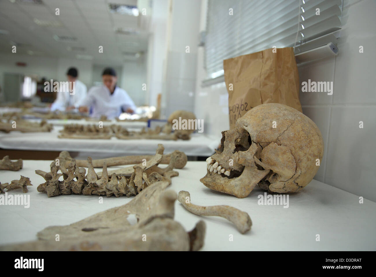 Anthropology lab of the Committee on Missing Persons in Cyprus Stock Photo