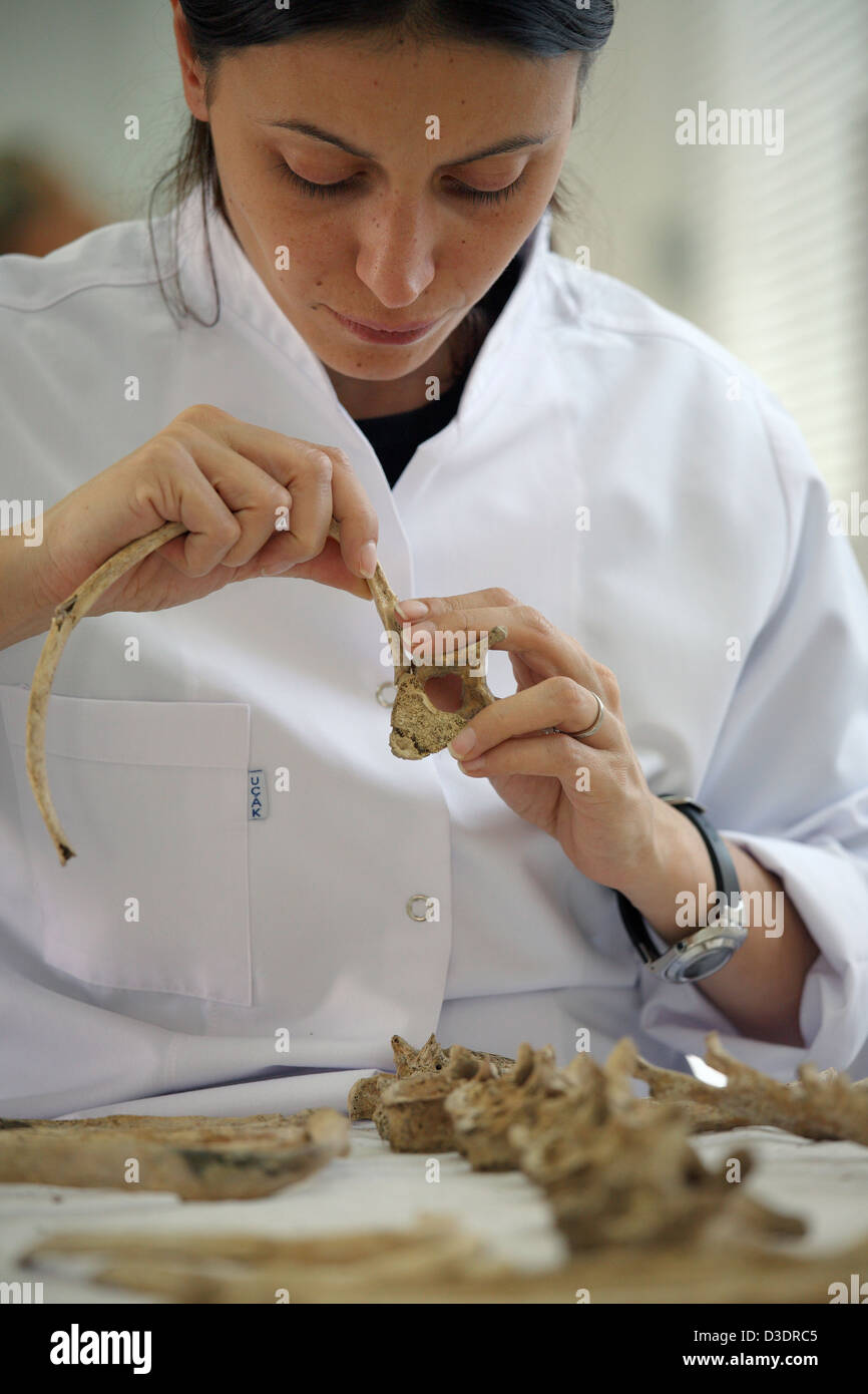 Lab anthropology skeleton hi-res stock photography and images - Alamy