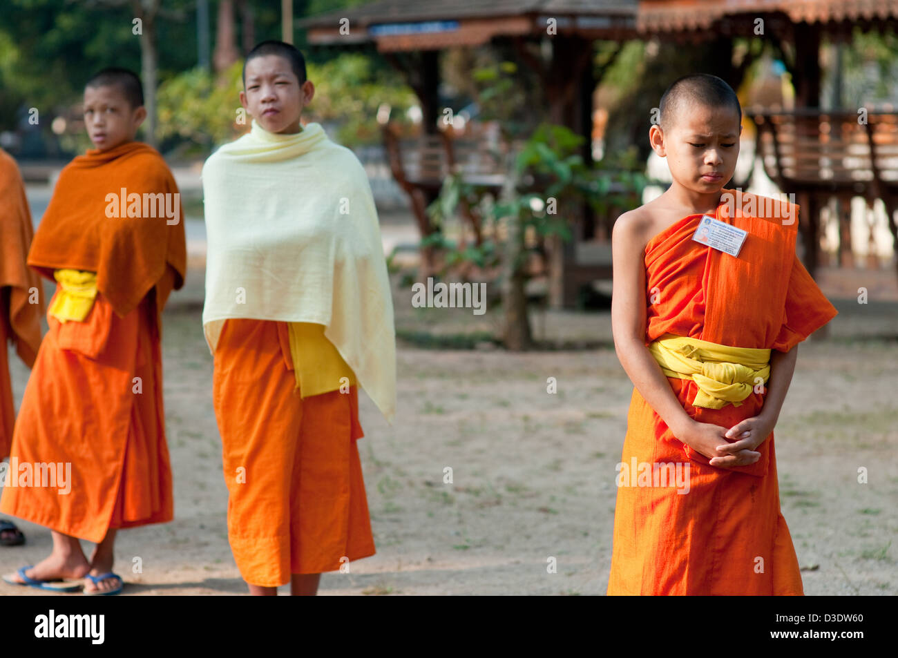 Fang, Thailand, novice school at the morning prayer Stock Photo