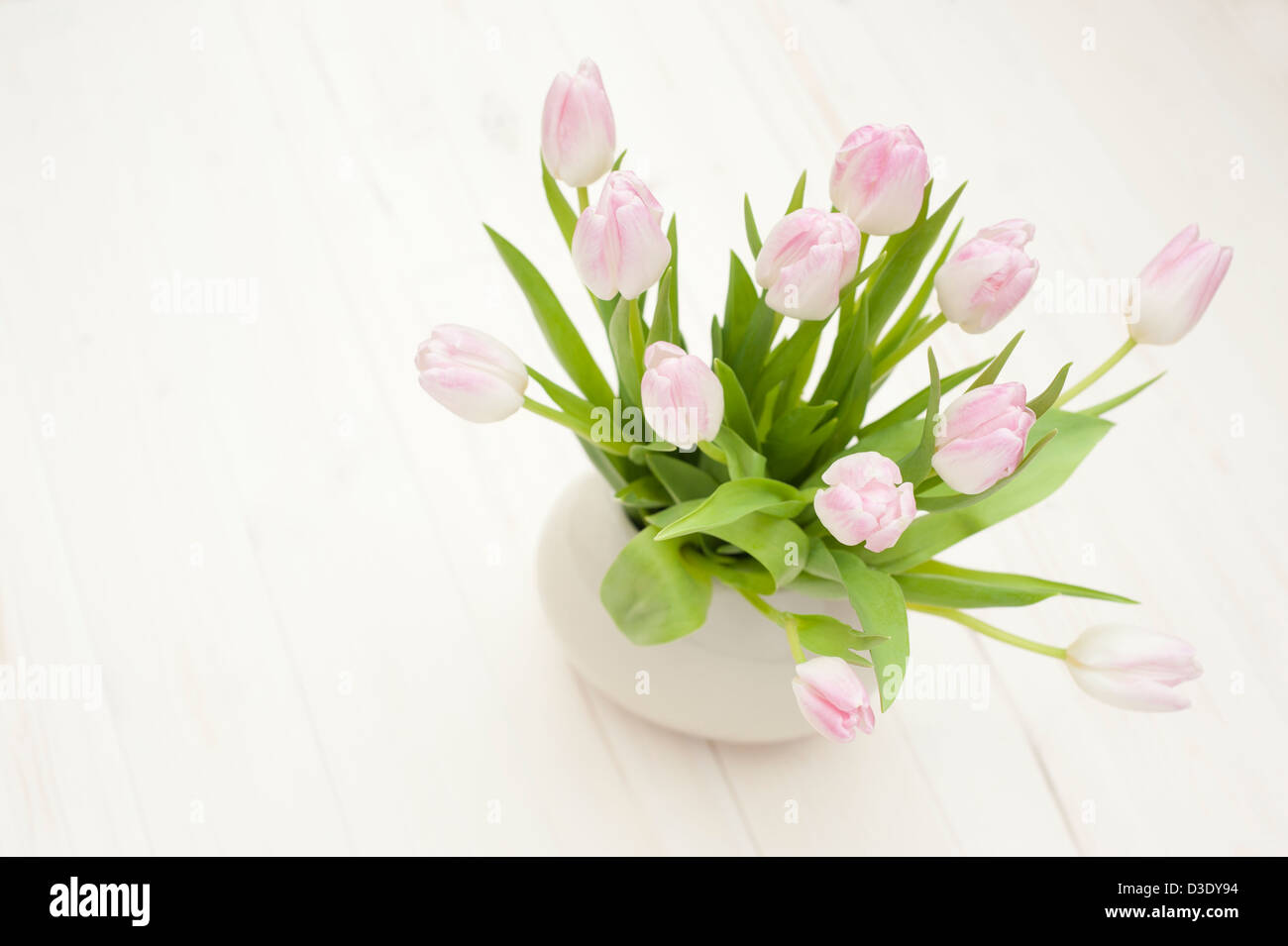 Bunch of pale pink and white tulips in a vase Stock Photo - Alamy