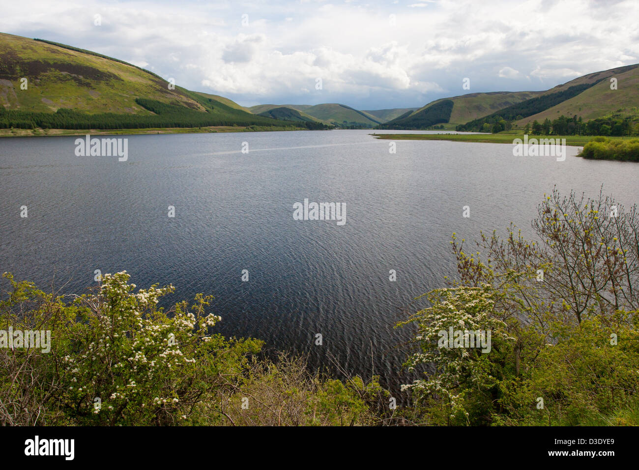 Loch of the Lowes, near Dunkeld in Perth and Kinross, Scotland. Stock Photo