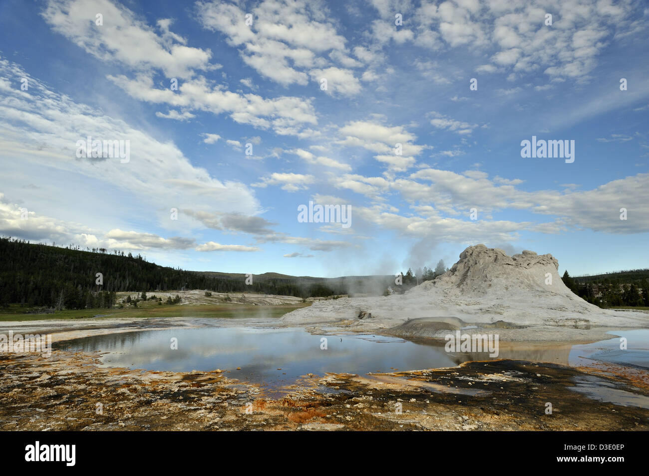 Castle geyser the geyser basin in Yellowstone national park Stock Photo ...