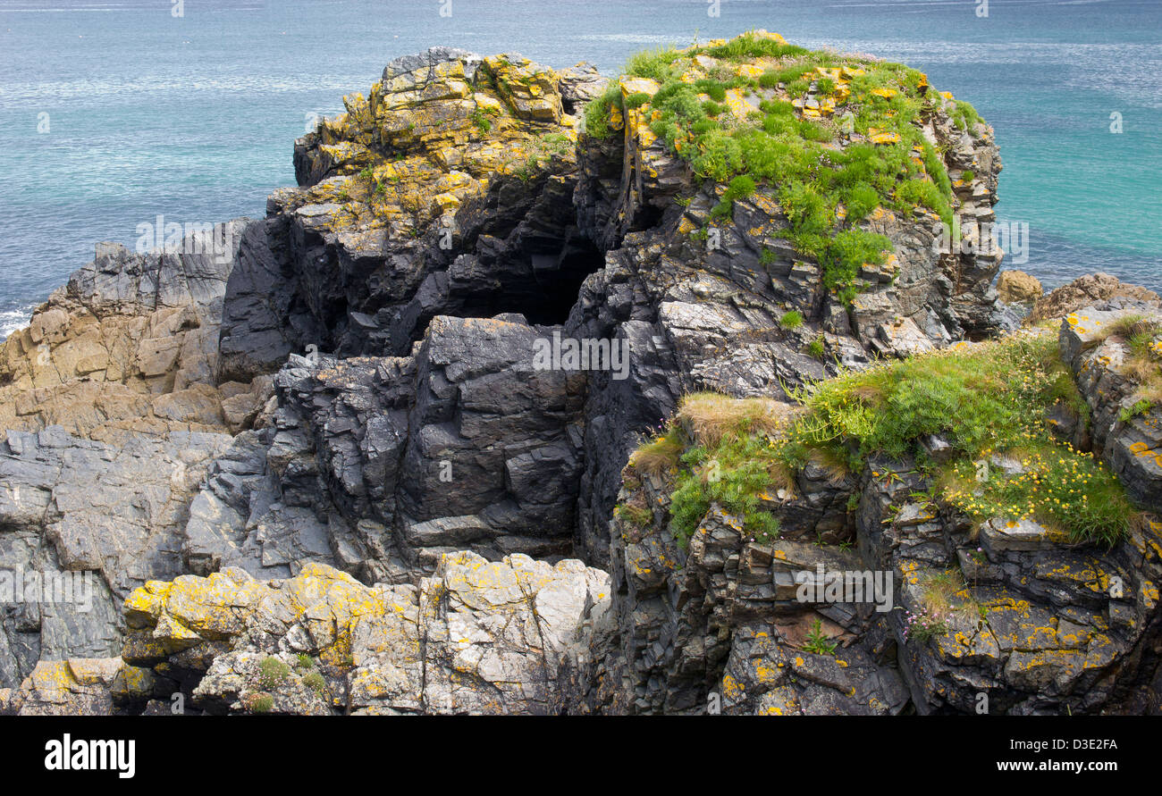 Rugged Cornish Coastline Cadgwith Lizard Cornwall Stock Photo